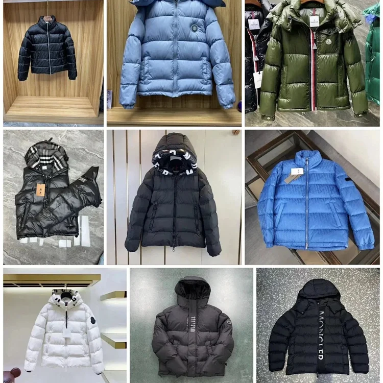 Canada Goose