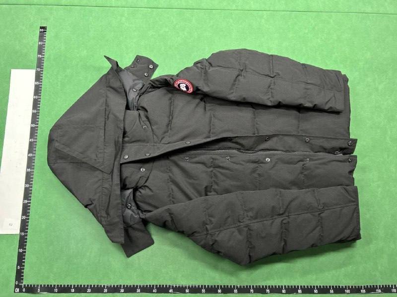 Canada Goose