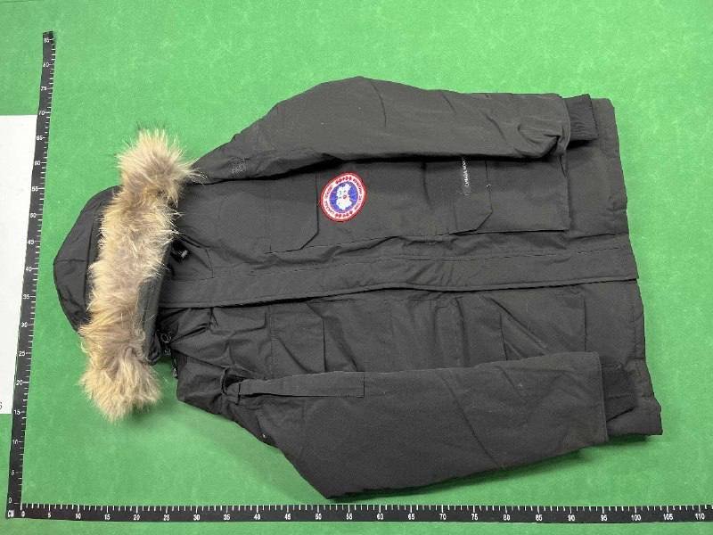 Canada Goose