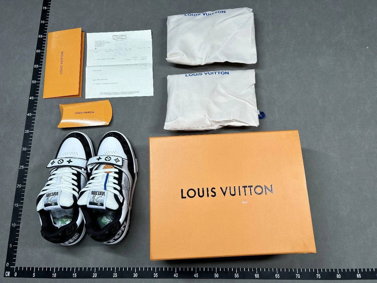Louis Vuitton Skate