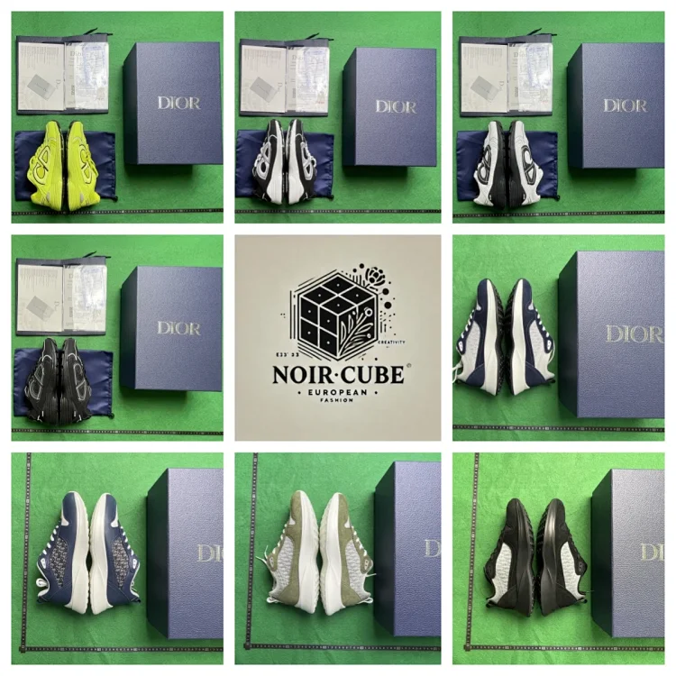 Dior B25/B30 shoes
