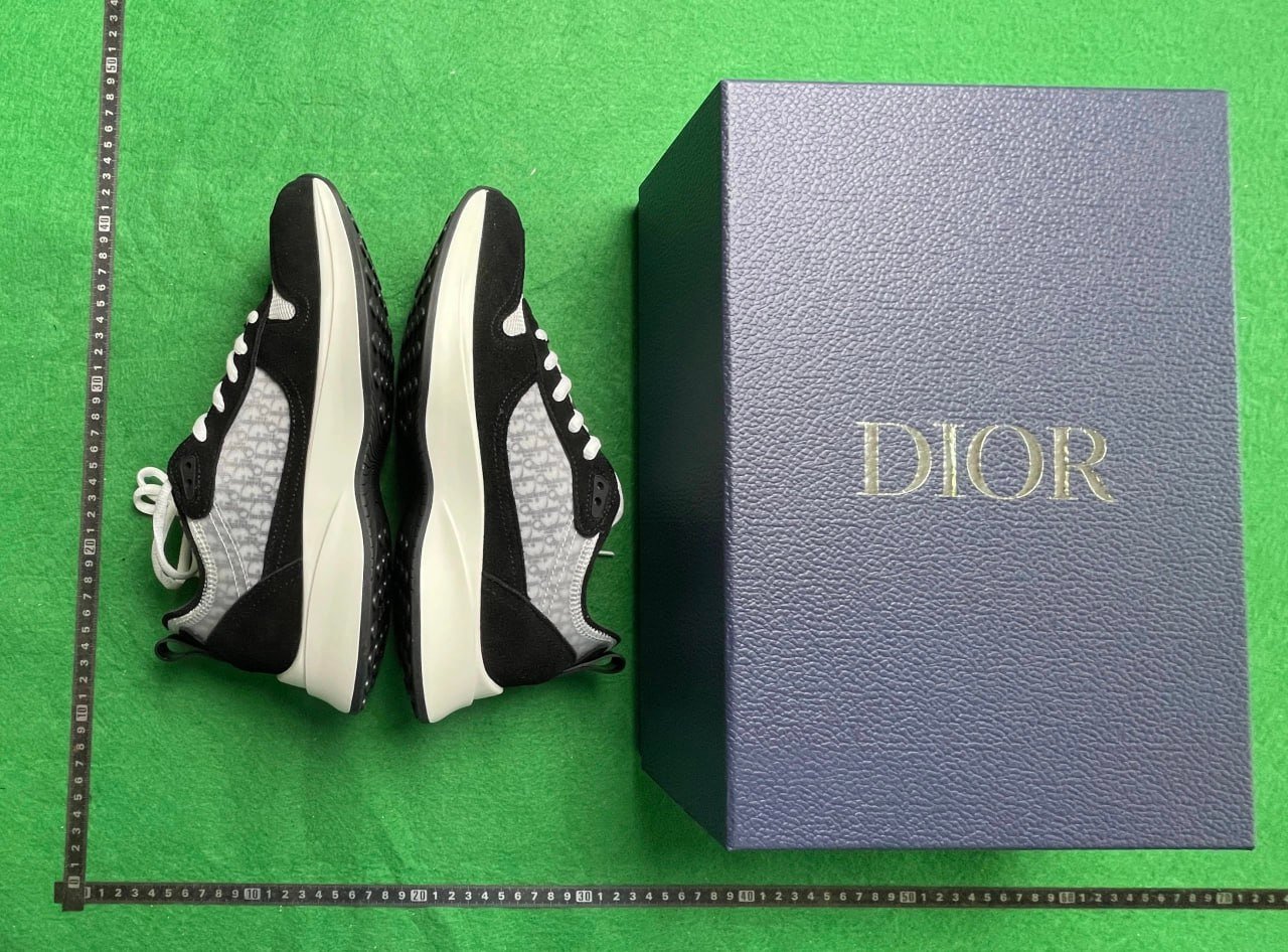 Dior B25/B30 shoes
