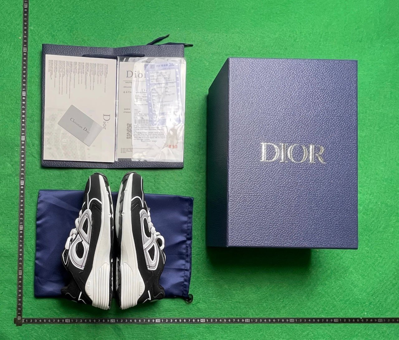 Dior B25/B30 shoes