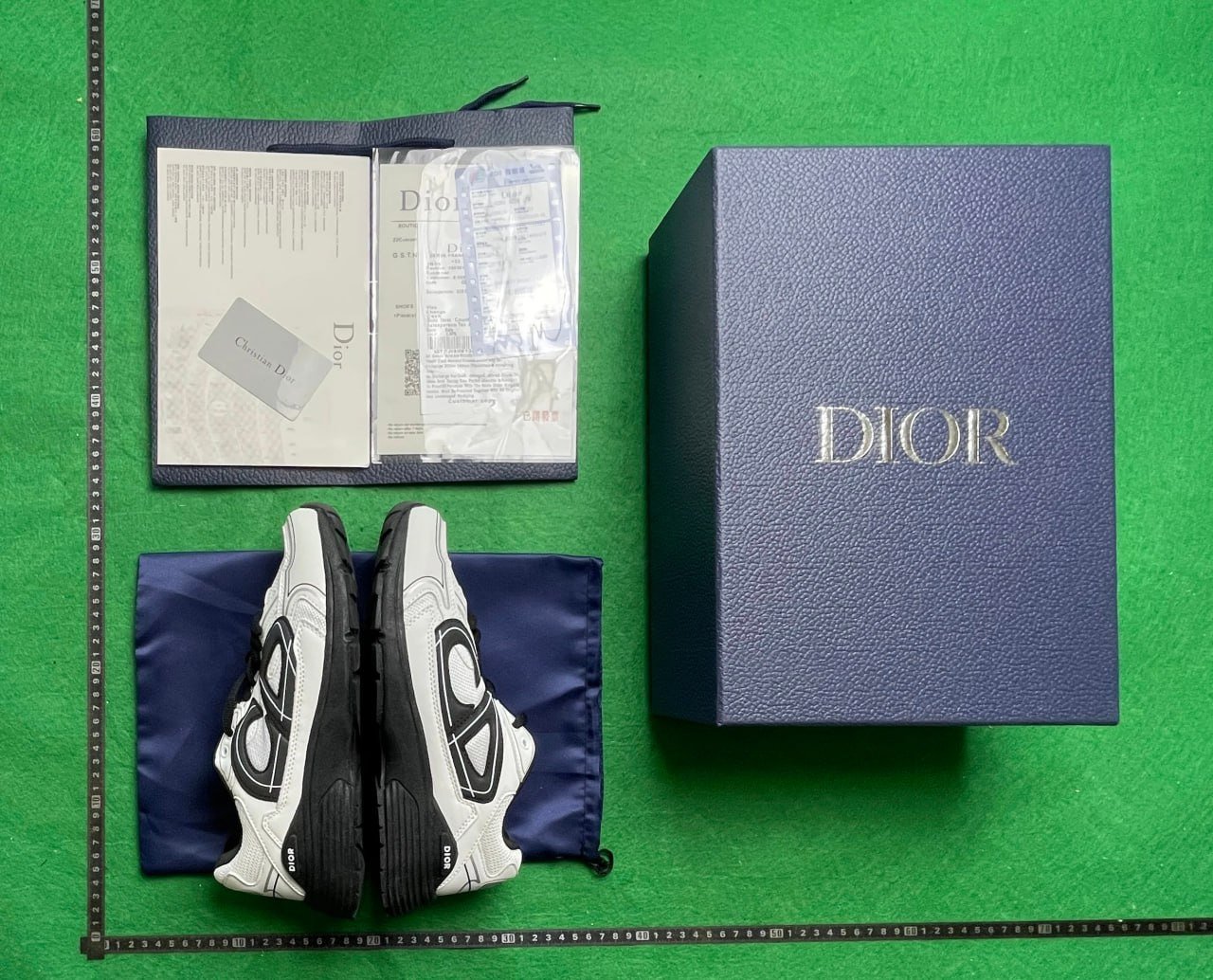 Dior B25/B30 shoes