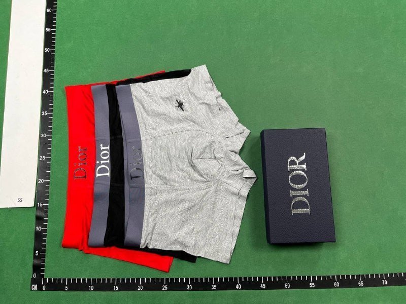  Dior underwear
