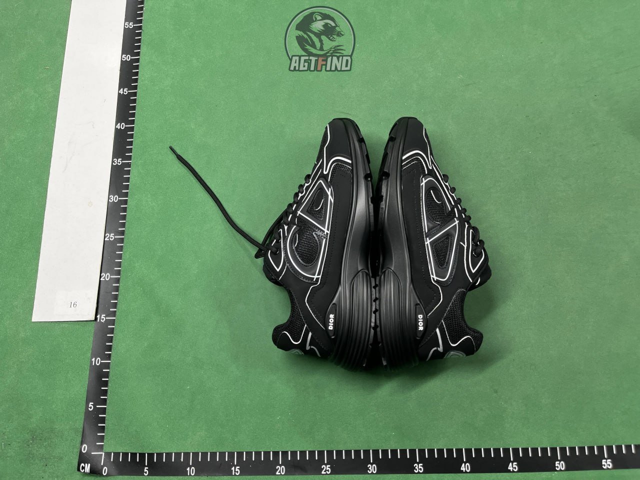 DIOR B30 shoes