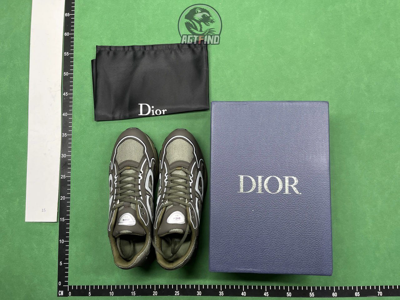 DIOR B30 shoes